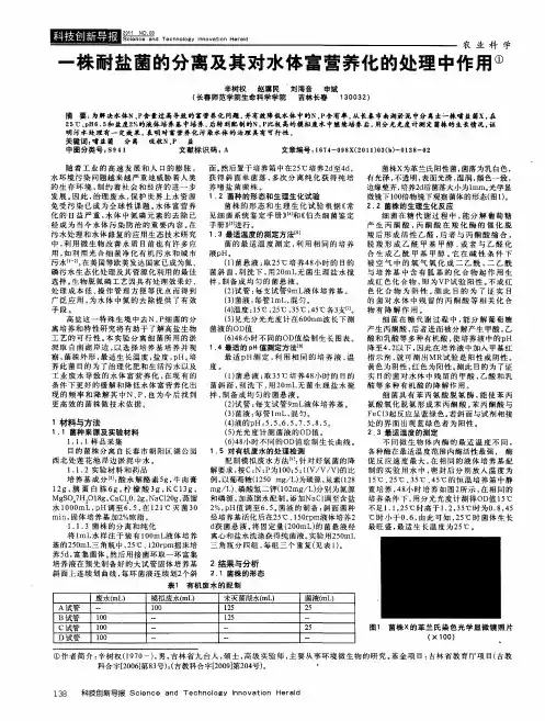 一株耐盐菌的分离及其对水体富营养化的处理中作用