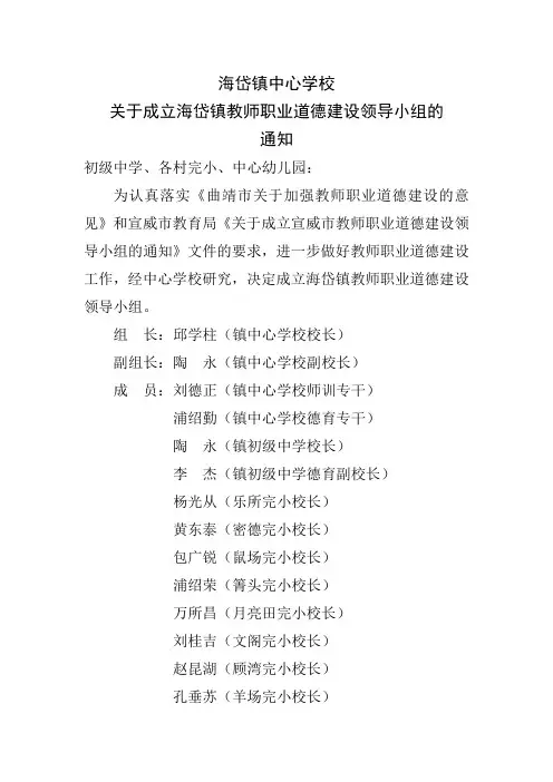 职业道德建设领导小组通知