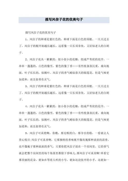 描写风信子花的优美句子