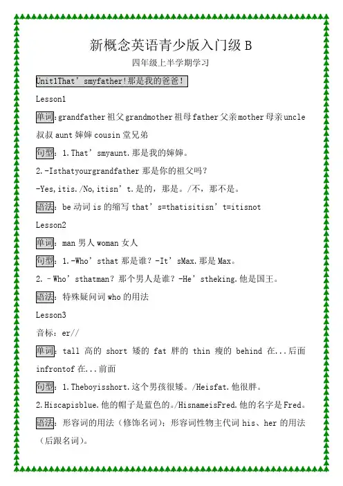 新概念英语青少版入门级B课本