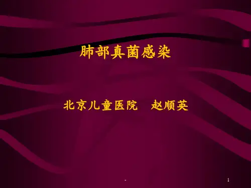 肺部真菌感染PPT课件