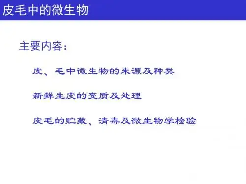 皮毛中的微生物