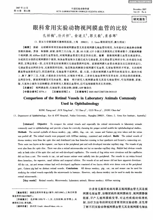 眼科常用实验动物视网膜血管的比较