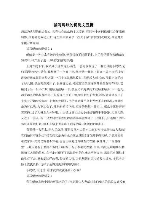 描写蚂蚁的说明文五篇