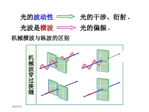 物理PPT课件10.5光的偏振 马吕斯定律