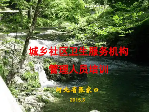 社区卫生服务管理概述(乡村版)