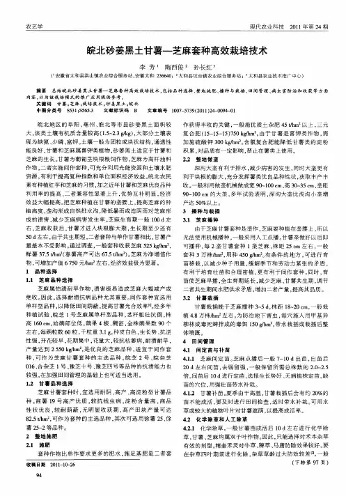 皖北砂姜黑土甘薯—芝麻套种高效栽培技术