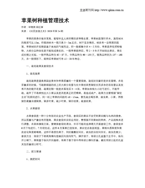 苹果树种植管理技术