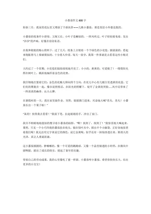 小番茄作文600字完美版