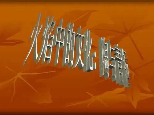 火焰中的文化(二)青铜ppt