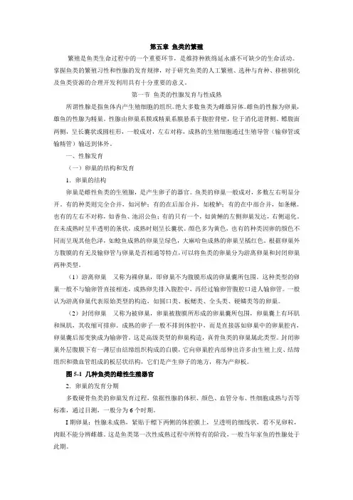 鱼类的繁殖