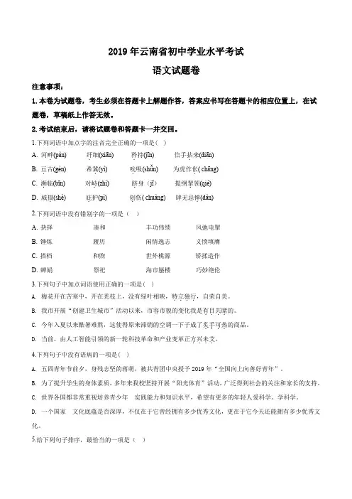 2019年云南省中考语文试题(原卷版)