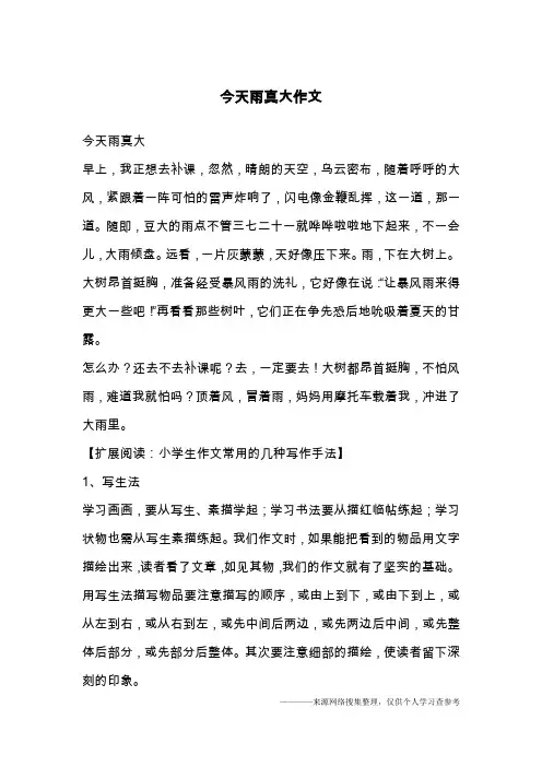 今天雨真大作文_1