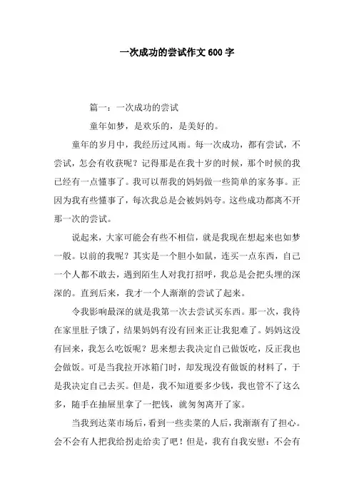 一次成功的尝试作文600字