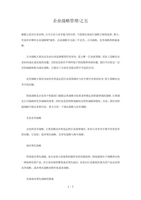 企业战略管理之五