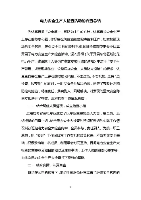 电力安全生产大检查活动的自查总结