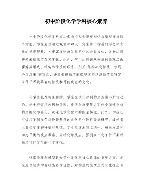 初中阶段化学学科核心素养