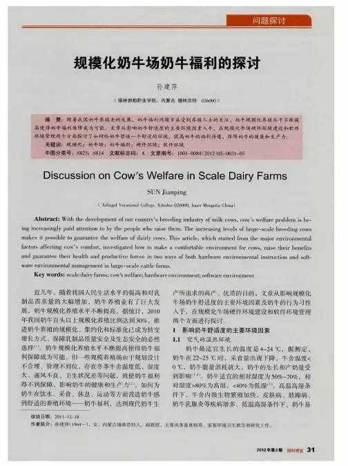 规模化奶牛场奶牛福利的探讨