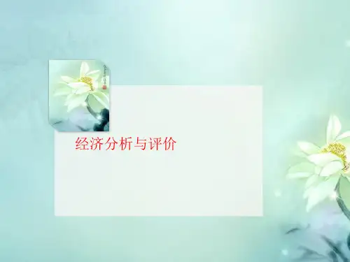 经济分析讲义与评价