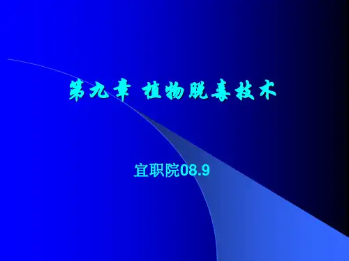 第九章植物脱毒技术