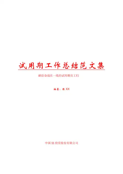 试用期工作总结范文集