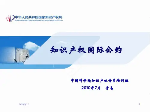 中科院知识产权专员培训(青岛)国际条约.pptx