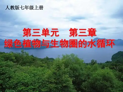 人教版初中生物七年级上册第三单元、第三章绿色植物与生物圈的水循环教学课件 (共30张PPT)