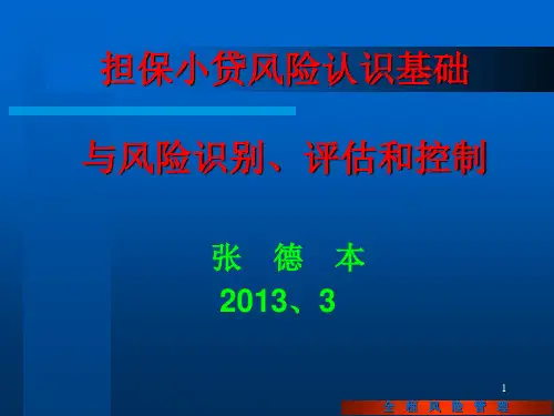 风险认识基础与风险识别、评估和控制讲稿