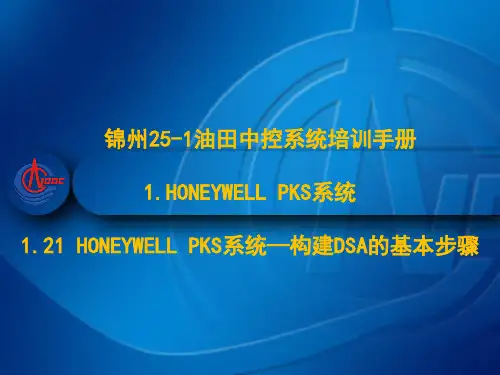 1.21 HONEYWELL PKS系统—构建DSA的基本步骤