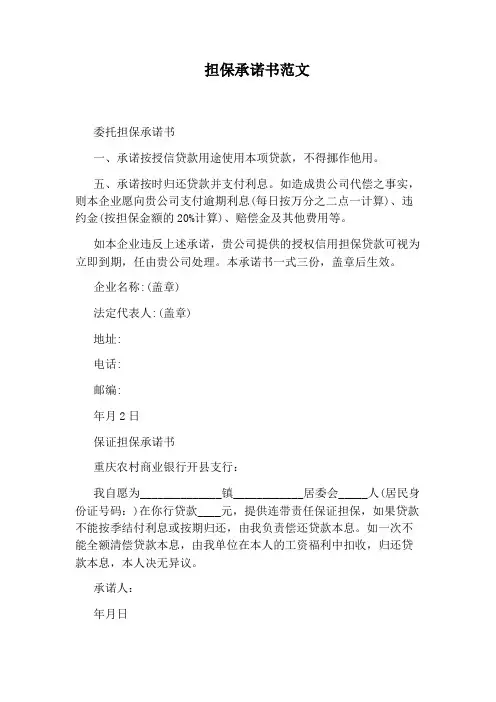 担保承诺书范文