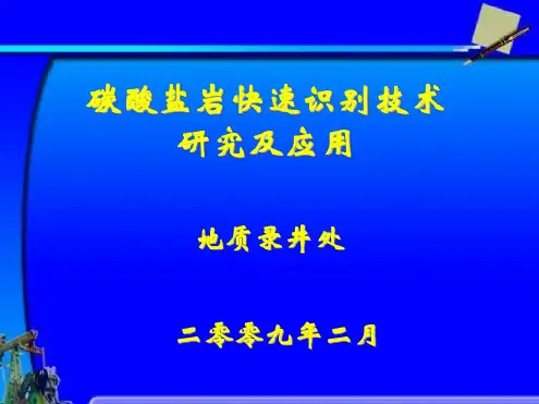 碳酸盐岩快速识别技术研究及应用
