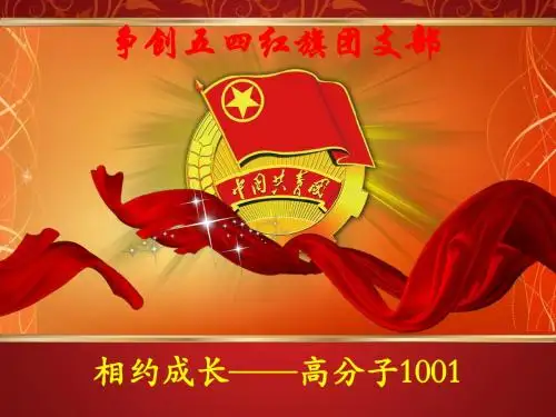 江苏大学高分子1001团支部答辩