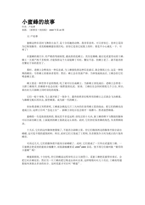 小蜜蜂的故事   