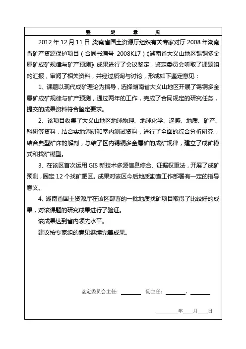 鉴定意见模板