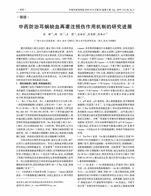 中药防治耳蜗缺血再灌注损伤作用机制的研究进展