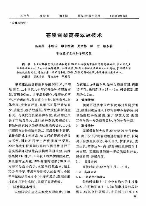 苍溪雪梨高接翠冠技术