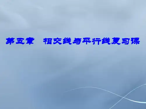 人教版相交线与平行线_2