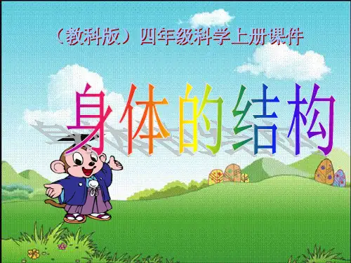四年级上册科学-身体的结构优秀课件教科版