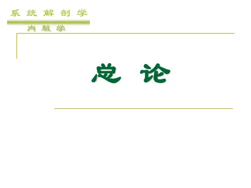 内脏学