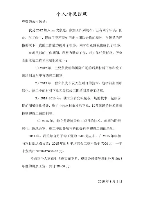 个人工资情况说明
