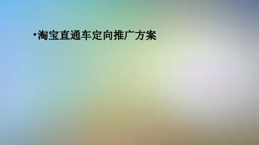 淘宝直通车定向推广方案