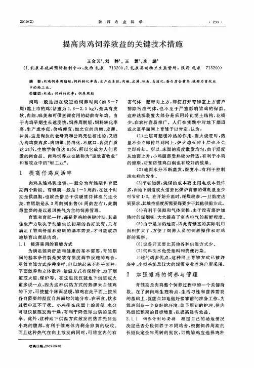 提高肉鸡饲养效益的关键技术措施