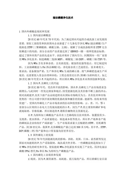 湿法磷酸净化技术