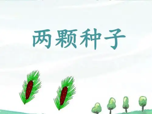 《两颗种子》课件1-优质公开课-湘教二下精品