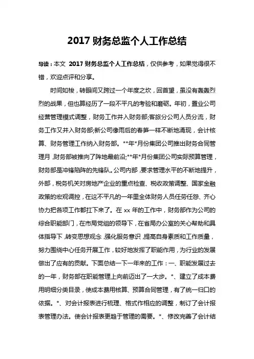 2017财务总监个人工作总结