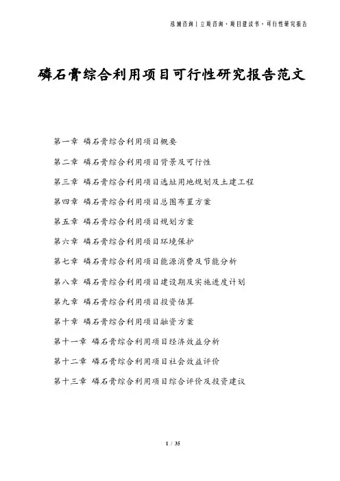 磷石膏综合利用项目可行性研究报告范文
