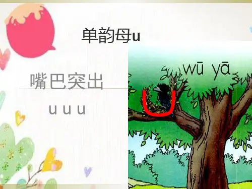 单韵母u和ü