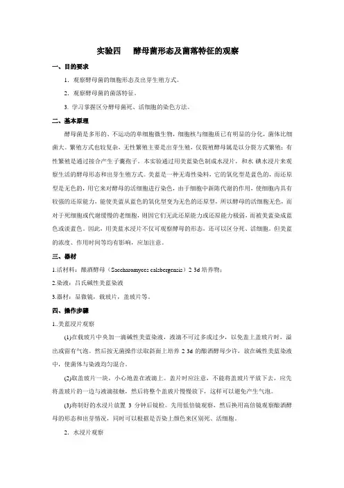 实验四   酵母菌形态及菌落特征的观察