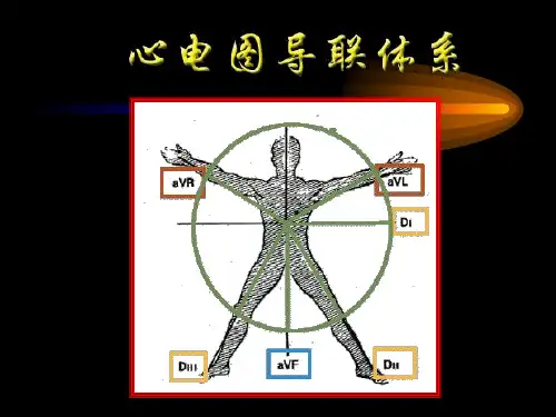 心电图导联体系PPT课件