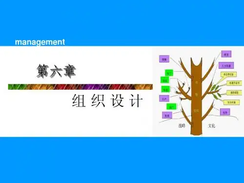 管理学-06组织设计